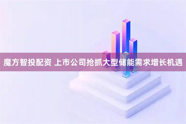 魔方智投配资 上市公司抢抓大型储能需求增长机遇