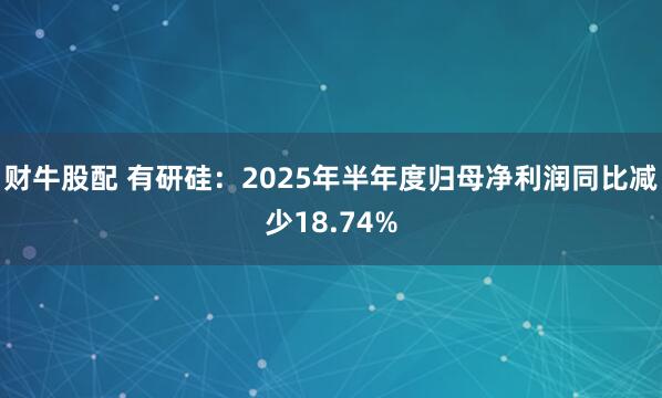 财牛股配 有研硅：2025年半年度归母净利润同比减少18.74%