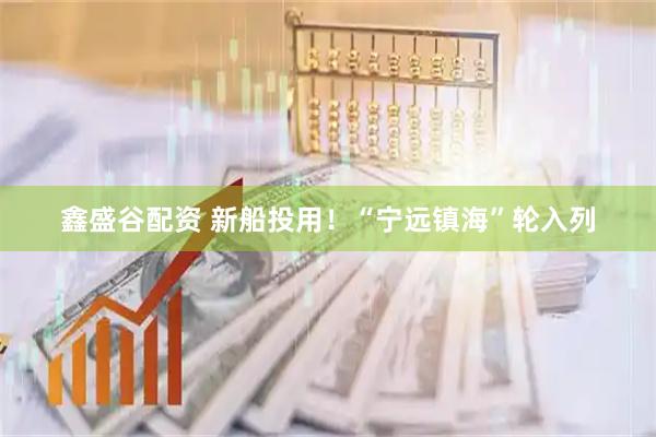 鑫盛谷配资 新船投用！“宁远镇海”轮入列