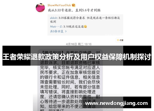 王者荣耀退款政策分析及用户权益保障机制探讨